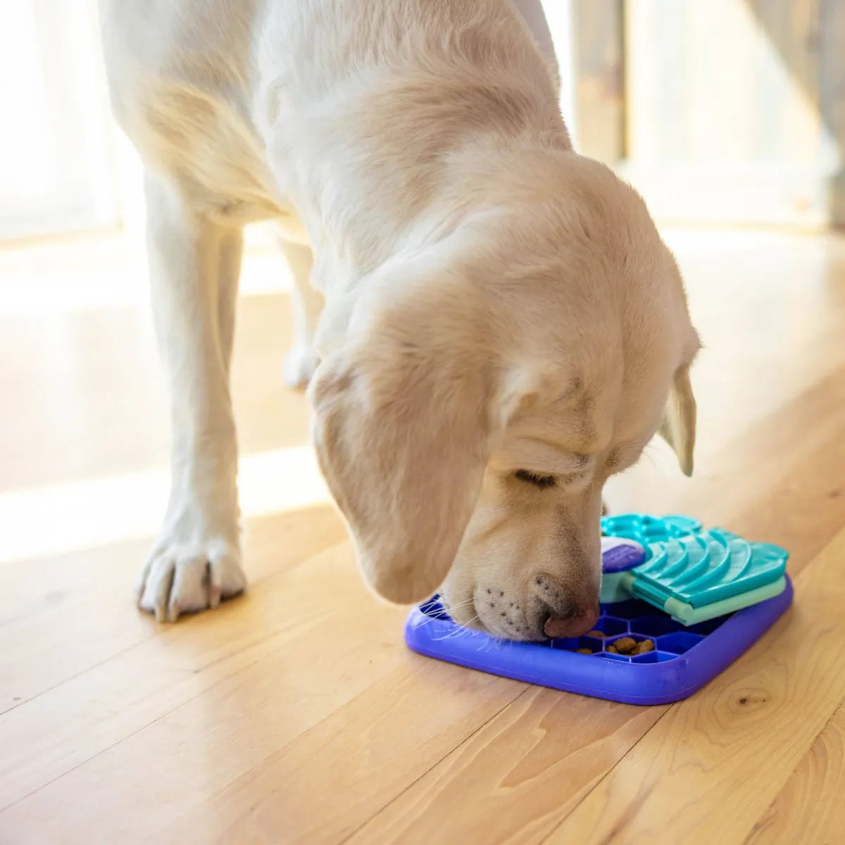 Lick N Flip lila S>Nina Ottosson Clearance