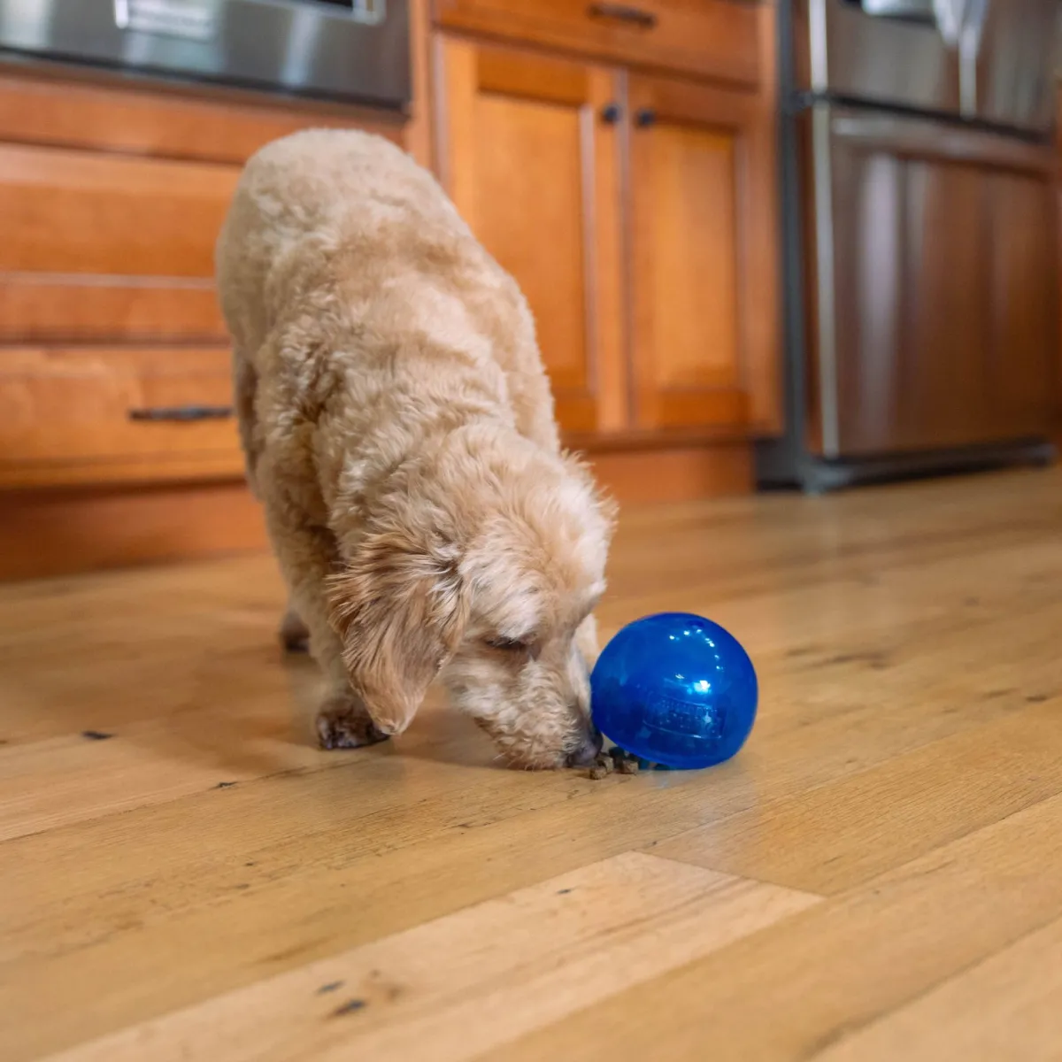 Outward Hound Lil Snoop, sininen>Nina Ottosson Online