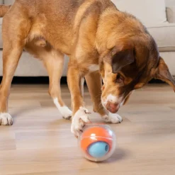 Topsy Treatball aktivointilelu>Nina Ottosson Sale