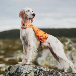 Non-Stop Camo huomioliivi oranssi>Non-stop dogwear