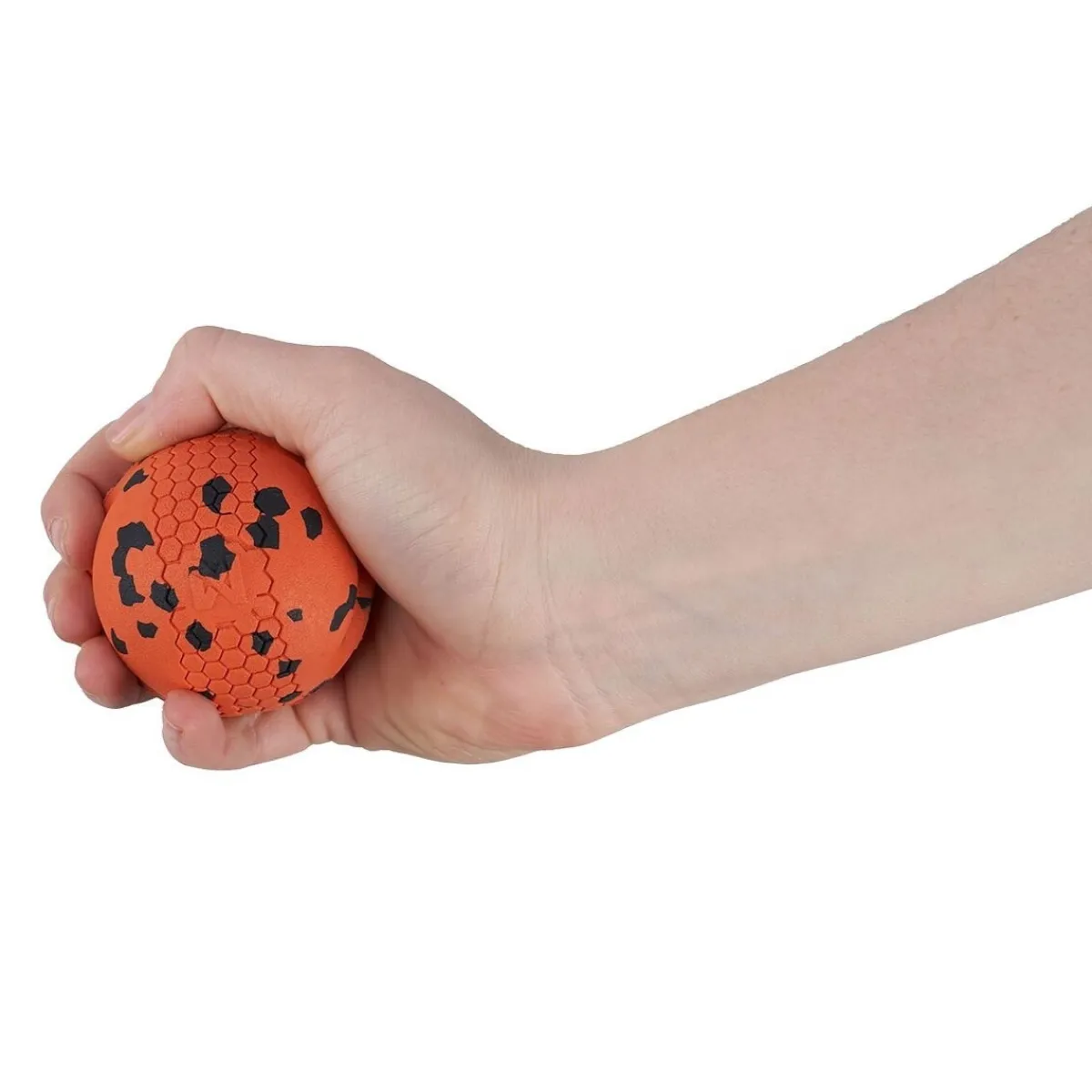 Non-Stop Dog ball>Non-stop dogwear Hot