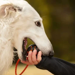 Non-Stop Dog ball on rope>Non-stop dogwear Best
