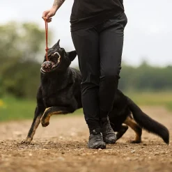 Non-Stop Dog ball on rope>Non-stop dogwear Best