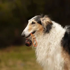 Non-Stop Dog ball on rope>Non-stop dogwear Best