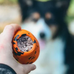 Non-Stop Dog kuminen aktivointilelu>Non-stop dogwear Discount