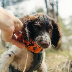 Non-Stop Dog kuminen aktivointilelu>Non-stop dogwear Discount