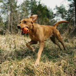 Non-Stop Dog kuminen aktivointilelu>Non-stop dogwear Discount