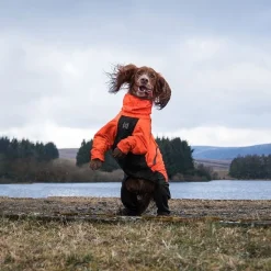 Fjord 2.0 sadehaalari koiralle>Non-stop dogwear Hot