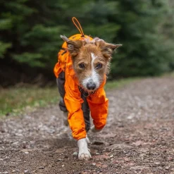 Fjord 2.0 sadehaalari koiralle>Non-stop dogwear Hot