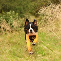 Protector puku, urosmalli>Non-stop dogwear Clearance
