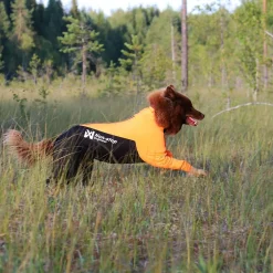 Protector puku, urosmalli>Non-stop dogwear Clearance