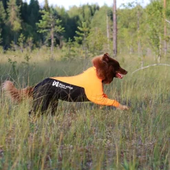 Protector puku, narttumalli>Non-stop dogwear Discount