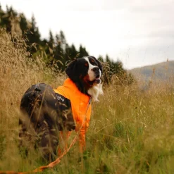 Protector puku, narttumalli>Non-stop dogwear Discount