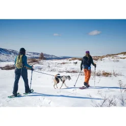 Non-Stop Ferd vetovyö>Non-stop dogwear Clearance