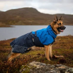 Non-Stop Fjord koiran sadetakki, sininen>Non-stop dogwear Sale