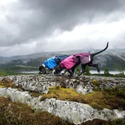 Non-Stop Fjord koiran sadetakki, sininen>Non-stop dogwear Sale