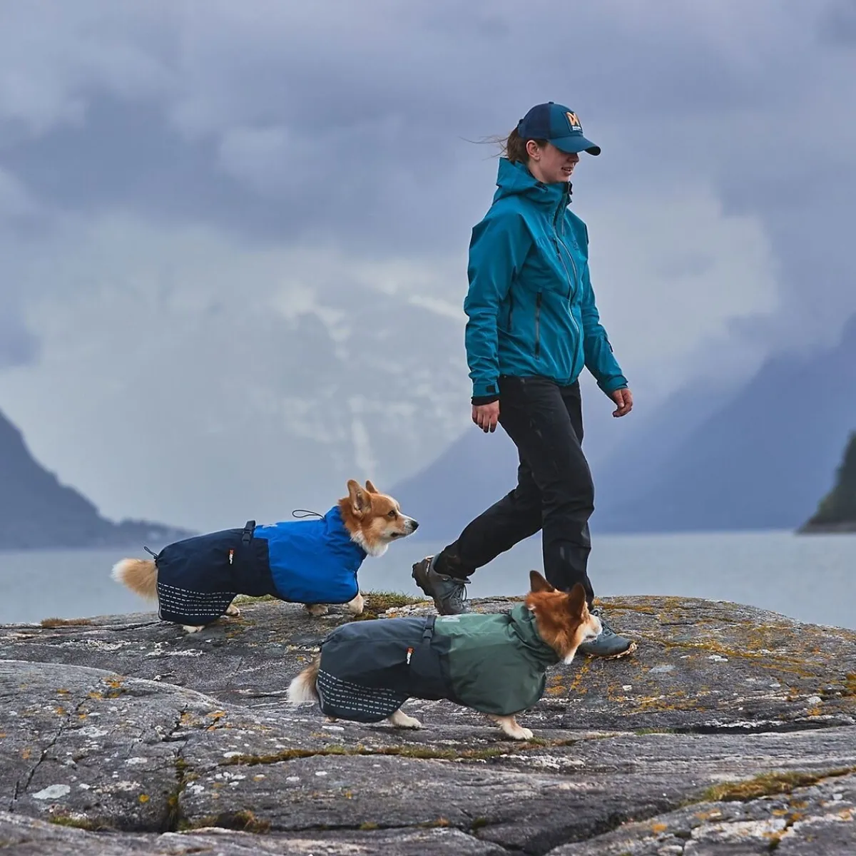 Non-Stop Fjord koiran sadetakki, sininen>Non-stop dogwear Sale