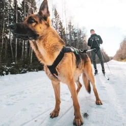 Non-stop Freemotion vetovaljas>Non-stop dogwear Online