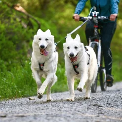 Non-stop Freemotion vetovaljas>Non-stop dogwear Online