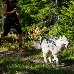 Non-stop Freemotion vetovaljas>Non-stop dogwear Online