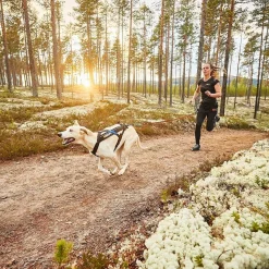Non-stop Freemotion vetovaljas>Non-stop dogwear Online