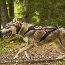 Non-stop Freemotion vetovaljas>Non-stop dogwear Online
