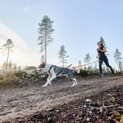Non-stop Freemotion vetovaljas>Non-stop dogwear Online