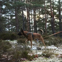 Non-Stop Friction long line jälkiliina, oranssi>Non-stop dogwear Online