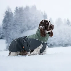 Non-Stop Glacier wool 2.0 talvitakki, vihreä/harmaa>Non-stop dogwear Clearance