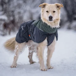 Non-Stop Glacier wool 2.0 talvitakki, vihreä/harmaa>Non-stop dogwear Clearance