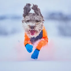 Non-stop Long Distance Bootie>Non-stop dogwear