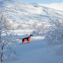 Non-Stop Protector Snow haalari, narttumalli>Non-stop dogwear Best