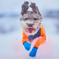 Non-Stop Protector Snow haalari, urosmalli>Non-stop dogwear Sale