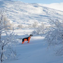 Non-Stop Protector Snow haalari, urosmalli>Non-stop dogwear Sale