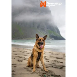 Non-Stop Rock -koiran valjaat, musta/oranssi>Non-stop dogwear Outlet
