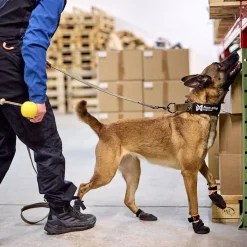 Non-Stop Solid WD kaulapanta, oliivi>Non-stop dogwear Hot