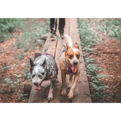 Non-Stop Touring Double Y-jakaja>Non-stop dogwear Best