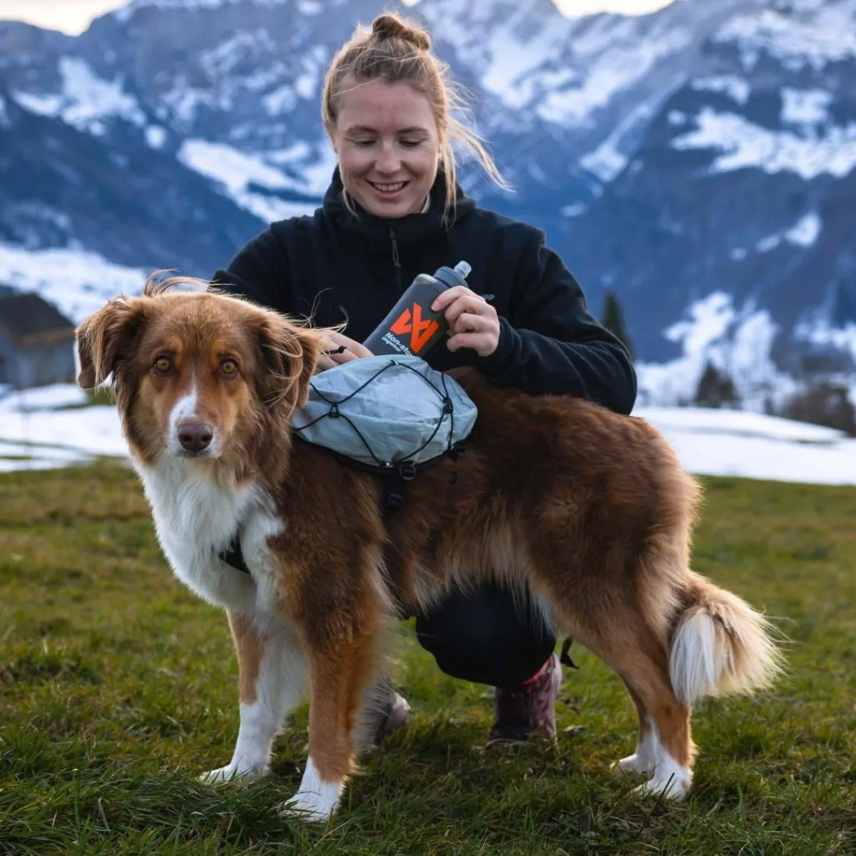 Non-Stop Trail Light -koiran reppu>Non-stop dogwear