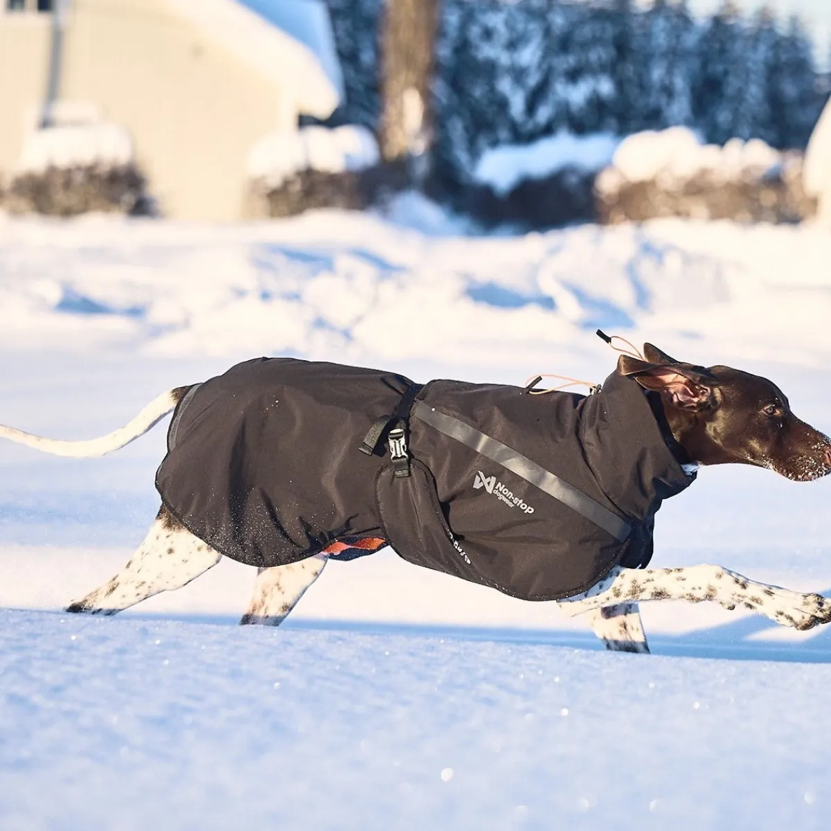 Non-Stop Trekking koiran talvitakki, musta>Non-stop dogwear Online