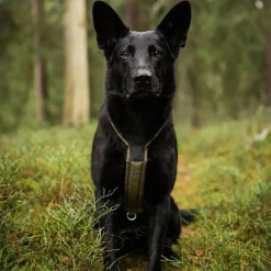 Non-stop valjaat Line Grip Defense, vihreä>Non-stop dogwear