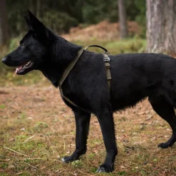 Non-stop valjaat Line Grip Defense, vihreä>Non-stop dogwear