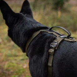 Non-stop valjaat Line Grip Defense, vihreä>Non-stop dogwear