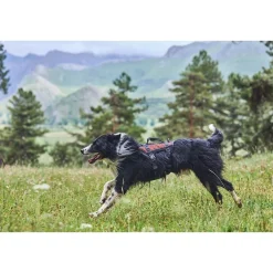 Non-Stop -valjaat Rock Long>Non-stop dogwear New