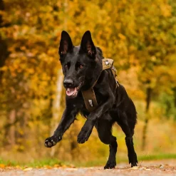 Non-stop vetovaljaat Freemotion Defense, vihreä>Non-stop dogwear Clearance