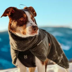 Non-Stop Wool koiran villatakki>Non-stop dogwear New