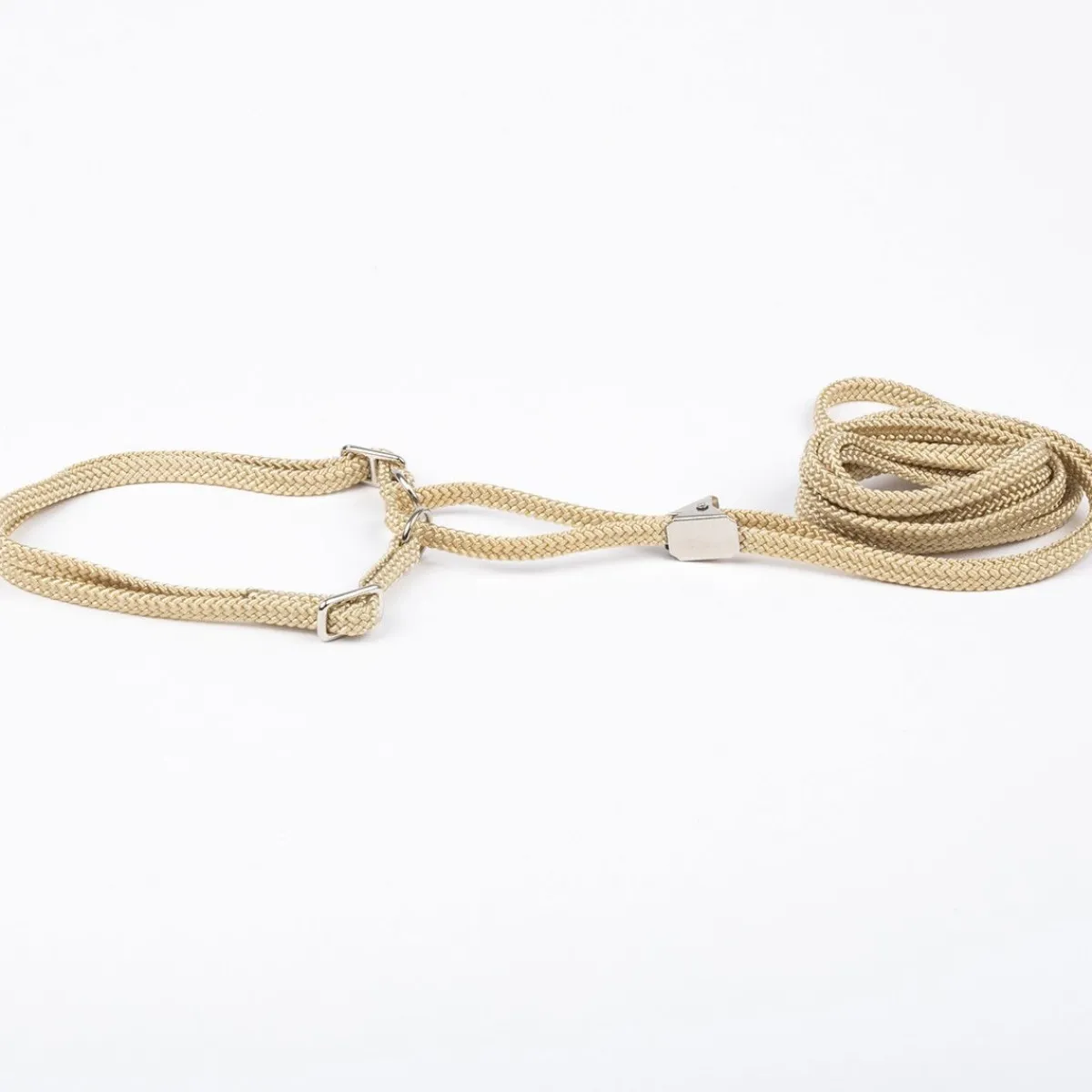 Näyttelyhihna pk, beige>Show Dog Outlet