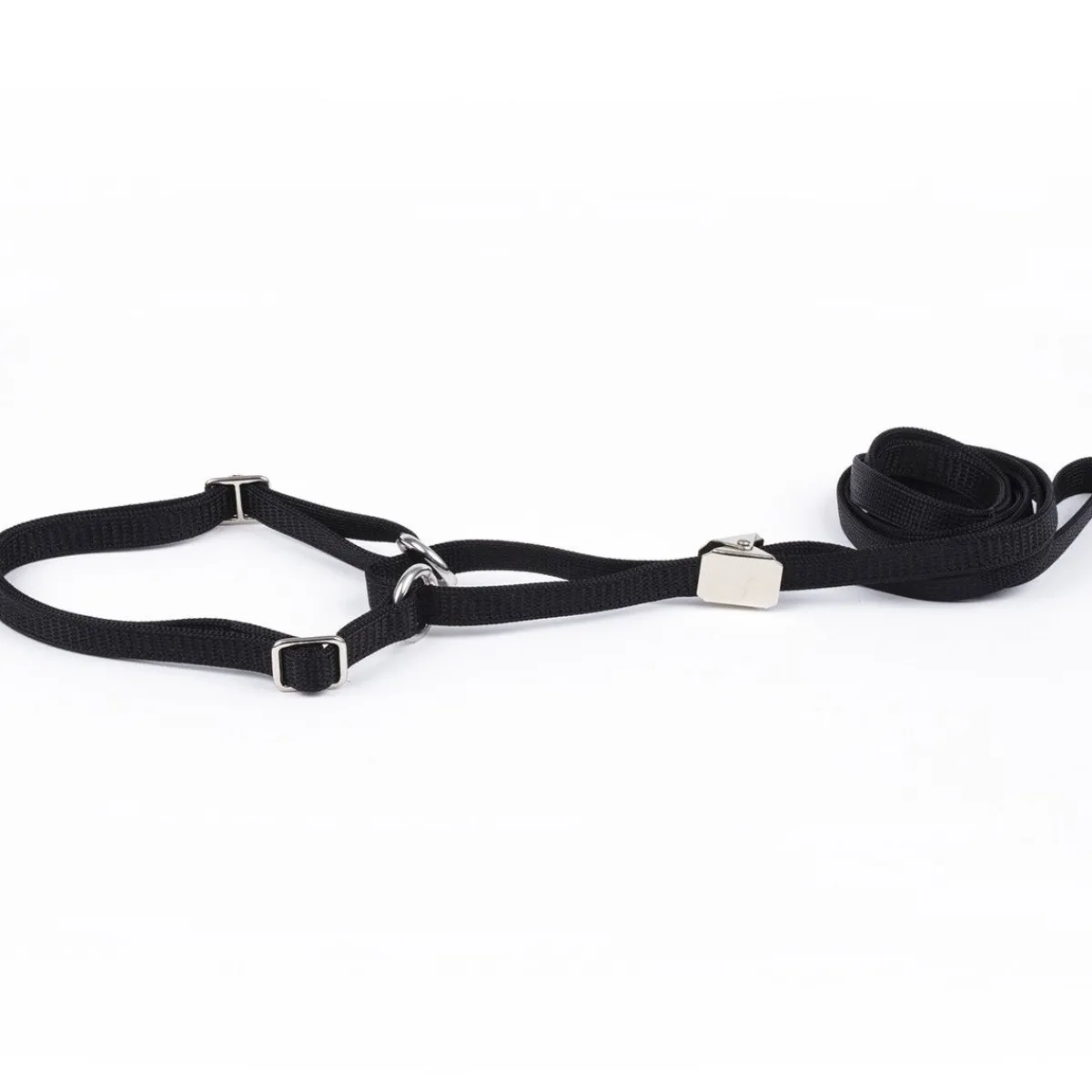 Näyttelyhihna pk, musta>Show Dog Online