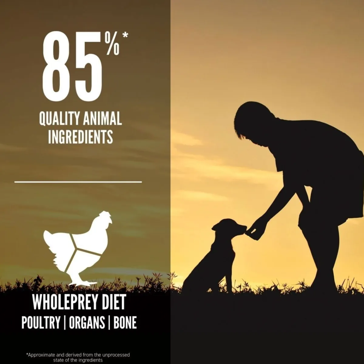 Dog Puppy Small Breed Poultry&Fish>Orijen New