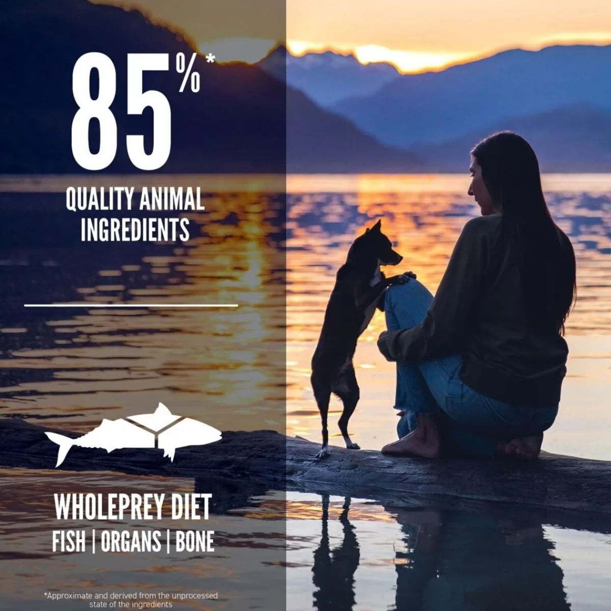 Dog Small Breed Marine Fish>Orijen Online