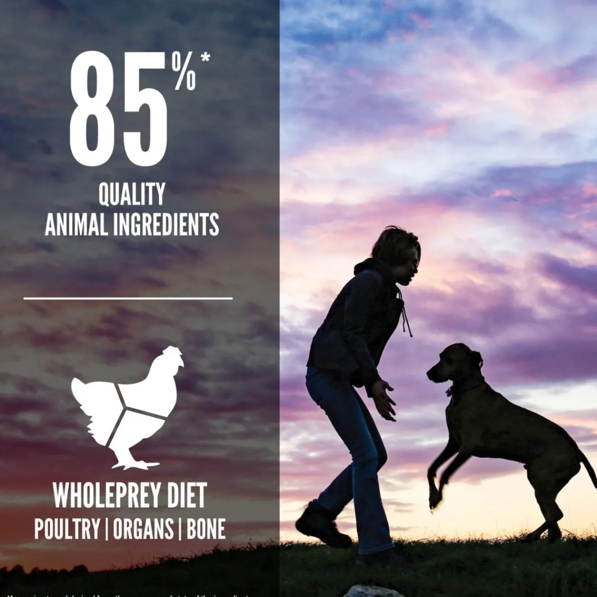 Puppy Large, 11,4 kg>Orijen Best